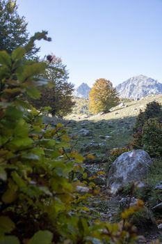 sunny valley in Abruzzo national park in autumn, Italy 