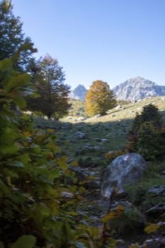 sunny valley in Abruzzo national park in autumn, Italy 