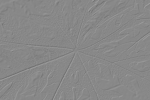 The Lines and Geoglyphs of big papaya leaves for background use