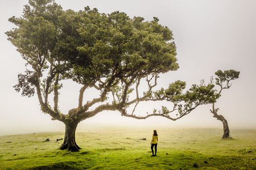 Traveller woman feeling the power of the nature at an ancient forest