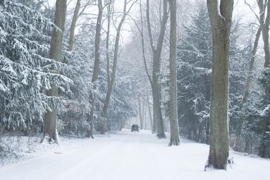 AACHEN, GERMANY - Snowy landscape at the hill Lousberg