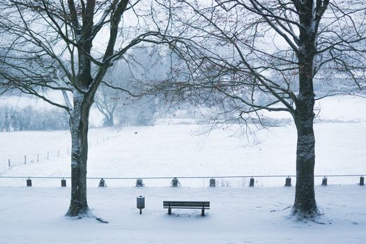 AACHEN, GERMANY - Snowy landscape at the hill Lousberg