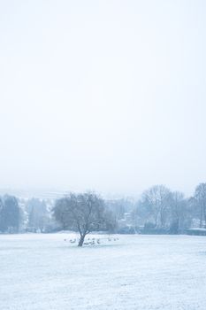 AACHEN, GERMANY - Snowy landscape at the hill Lousberg