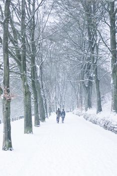 AACHEN, GERMANY - Snowy landscape at the hill Lousberg