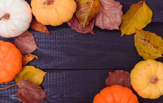 Top view of Pumpkins and and dry leaves on a dark wooden background with copy space for use, Thanksgiving and Autumn concept