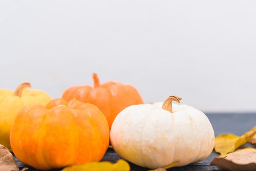Fall Thanksgiving and Halloween pumpkins, dry leaves on white wall background