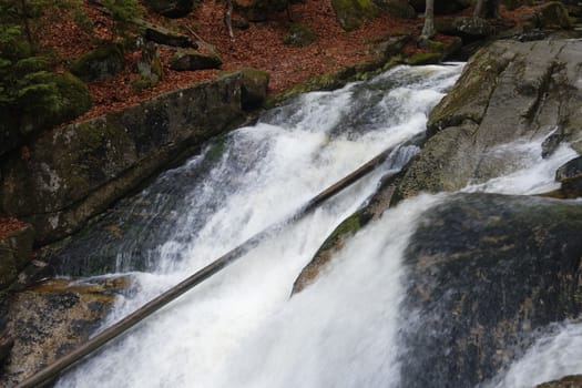 Beautiful view of Jedlove Falls in super green forest surroundings, Czech Republic