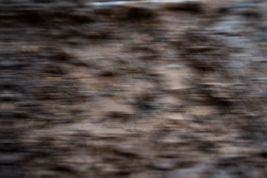 The Abstract image of blurred texture wood attacks by termites