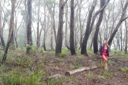 Positive smiling woman enjoying a hike in a forest of gum trees and eucalypts on a misty cool day.  She is wearing cotton shorts and tank top and has a jacket on for warmth