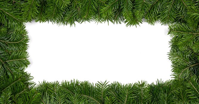 Natural fir Christmas tree border frame isolated on white , copy space for text