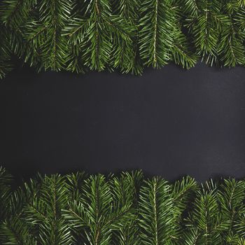 Pine Christmas tree branches on black paper background flat lay top view mock-up