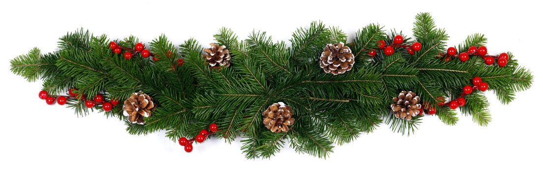 Natural fir Christmas tree branches, cones and red berries isolated on white , copy space for text