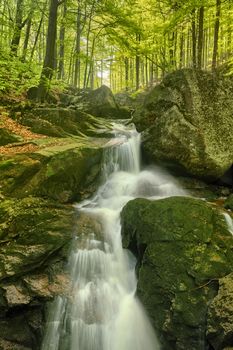 Beautiful view of Maly Falls in super green forest surroundings, Czech Republic