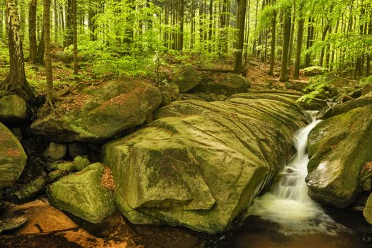 Beautiful view of Velky Falls in super green forest surroundings, Czech Republic