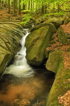 Beautiful view of Velky Falls in super green forest surroundings, Czech Republic