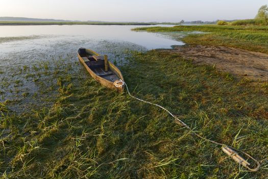 Canoe in early morning light, Biebrza National Park, Poland