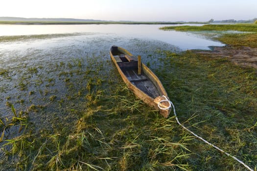 Canoe in early morning light, Biebrza National Park, Poland