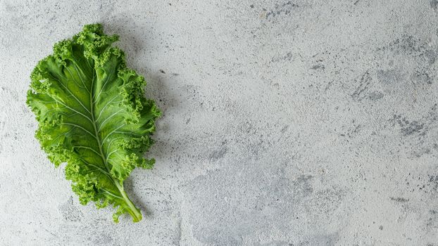 Fresh green kale leaf on gray cement background, copy space for text or design. Flat lay or top view. Healthy detox vegetables. Clean eating and dieting concept. Health kale benefits