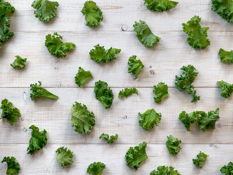 Fresh green kale leaves on white wooden background. Top view or flat lay. Curve kale leaves pattern. Natural day light. Copy space for text or design. Healthy eating, vegetarian food, dieting concept