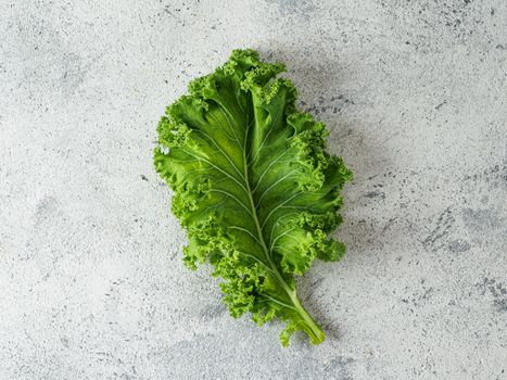 Fresh green kale leaf on gray cement background, top view. Healthy detox vegetables. Clean eating and dieting concept. Flat lay. Health kale benefits