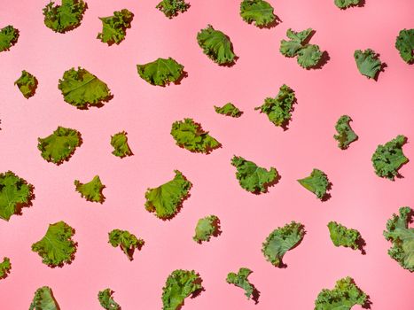 Fresh green kale leaves on pink background. Top view or flat lay. Creative layout with kale leaves. Copy space for text or design. Healthy eating, vegetarian food, dieting concept. Hard light.