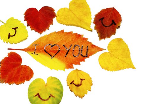 Autumn background. Leaves of different colors.Autumn leaves with the inscription on the leaves love you