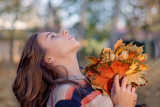 In the girl's hand holds autumn leaves.Beautiful girl sits on a bench in autumn.