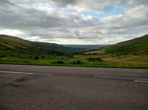 a wayside meadow in Scotland