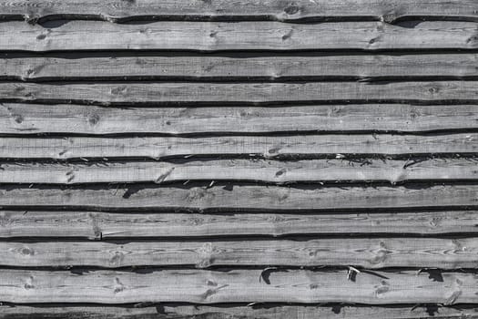 Old gray wood plank background. Wall floor or fence exterior design. Natural wooden material backdrop