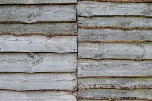 Old wood gray plank background. Wall floor or fence exterior design. Natural wooden material backdrop