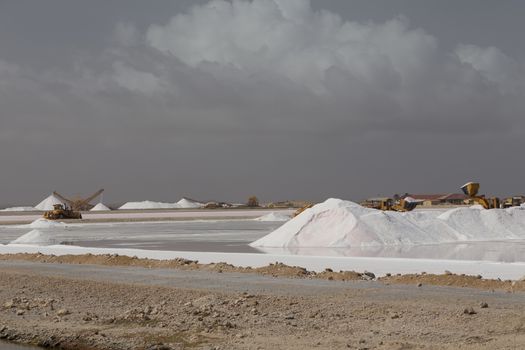 caribbean salt lake mining work Bonaire island Netherlandes Antilles