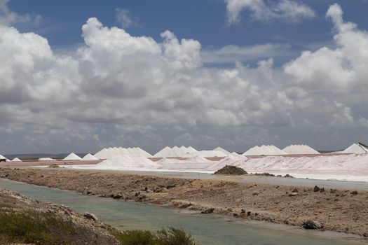 caribbean salt lake mining work Bonaire island Netherlandes Antilles