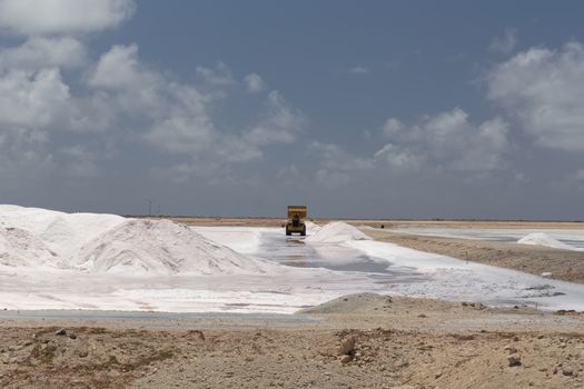 caribbean salt lake mining work Bonaire island Netherlandes Antilles