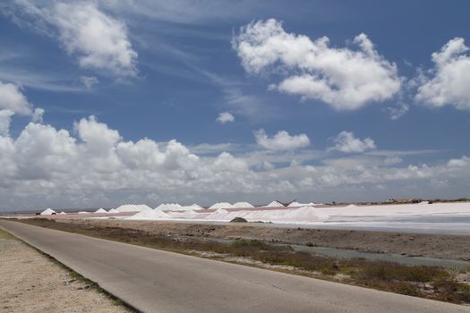 caribbean salt lake mining work Bonaire island Netherlandes Antilles