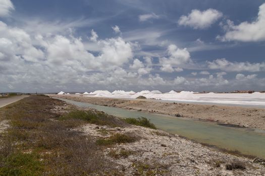 caribbean salt lake mining work Bonaire island Netherlandes Antilles