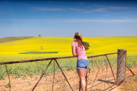 Leaning on farm gate looking out over rural countryside rolling hills of golden canola crops under a pretty blue spring sky. Shallow depth of field with focus to girl, space for copy
