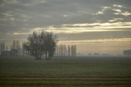 Rural landscape of northern Italy in full autumn at sunset with fog making mystical view ...