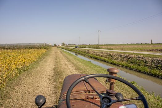 First-person image in driving a vintage tractor to cultivate farm fields and campaign.