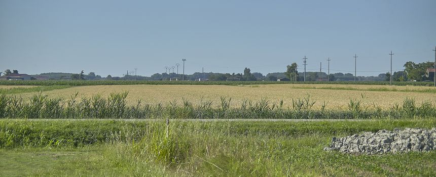 Overview of a typical summer countryside landscape of the Po Valley in the north east of Italy.