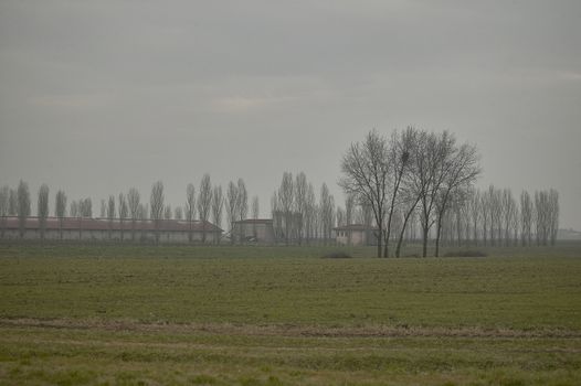 Countryside landscape surrounded by winter fog with bare trees.