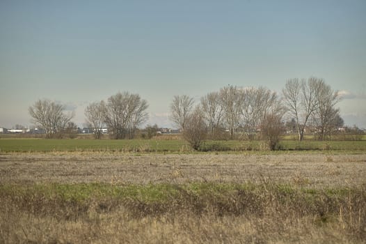 Countryside landscape during the inevrno with bare trees during a sunny day.