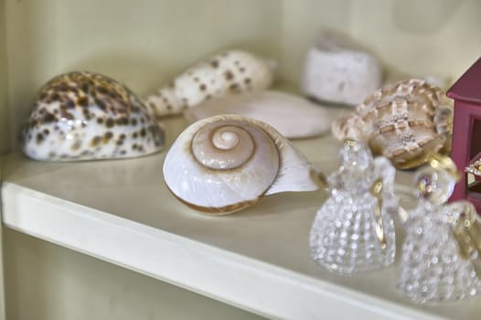 Decorations or ornaments in the shape of a snail with various crystals in a shelf inside a house.