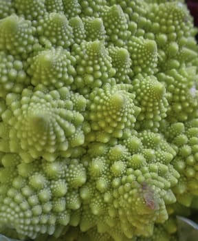 Detail of the perfect geometries of a Roman cabbage: a vegetable very common in Italian cuisine. Scatto Verticale.