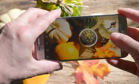 Hands taking a photo with smartphone on autumn pumpkins decoration
