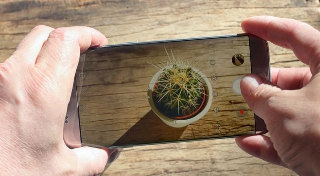 Hands taking a photo with smartphone on cactus