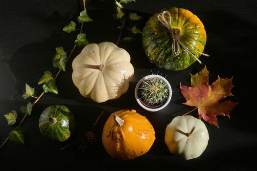 Autumn decoration with leaves and Colorful Pumpkins