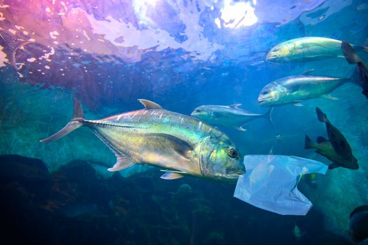 Fish are eating plastic bags under the blue sea. Environmental conservation concepts and not throwing garbage into the sea.