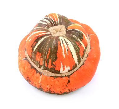 Large Turks Turban gourd with dark brown and orange stripes on white background