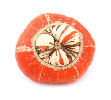 Unusual Turks Turban squash with raised white centre and thin orange and brown stripes, on a white background