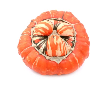 Ribbed and warty orange turban squash with striped, lobed centre, on a white background